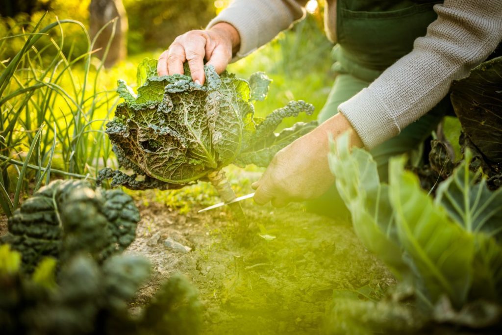 Curso Permacultura conocer el ambiente