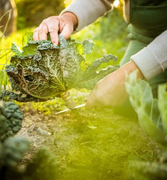 Curso Permacultura conocer el ambiente