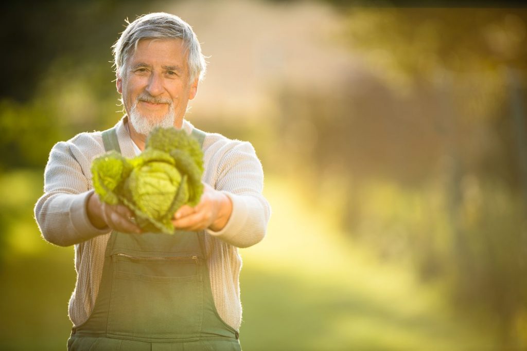 Cursos Agricultura y Ganadería Ecológicas